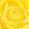 LET FREEDOM BLOOM AGAIN- KEEP TEXAS BEAUTIFUL & FREE - Image 4
