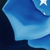 LET FREEDOM BLOOM AGAIN - AMERICAN ROSE - Image 7
