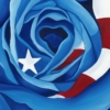 LET FREEDOM BLOOM AGAIN - AMERICAN ROSE - Image 10
