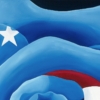 LET FREEDOM BLOOM AGAIN - AMERICAN ROSE - Image 3