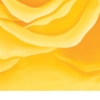 LET FREEDOM BLOOM AGAIN - KEEP TEXAS BEAUTIFUL & FREE - PAPER PRINT - Image 3