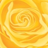 LET FREEDOM BLOOM AGAIN - KEEP TEXAS BEAUTIFUL & FREE - PAPER PRINT - Image 5