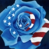 LET FREEDOM BLOOM AGAIN - AMERICAN ROSE