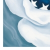 LET FREEDOM BLOOM AGAIN -BEAUTY IN THE STORM - Paper Print - Image 2