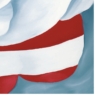 LET FREEDOM BLOOM AGAIN -BEAUTY IN THE STORM - Paper Print - Image 4