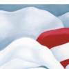 LET FREEDOM BLOOM AGAIN -BEAUTY IN THE STORM - Paper Print - Image 9
