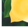 LET FREEDOM BLOOM AGAIN -YELLOW ROSE OF TEXAS - PAPER PRINT - Image 2