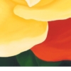 LET FREEDOM BLOOM AGAIN -YELLOW ROSE OF TEXAS - PAPER PRINT - Image 3
