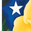 LET FREEDOM BLOOM AGAIN -YELLOW ROSE OF TEXAS - PAPER PRINT - Image 6
