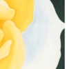 LET FREEDOM BLOOM AGAIN -YELLOW ROSE OF TEXAS - PAPER PRINT - Image 7