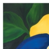 LET FREEDOM BLOOM AGAIN -YELLOW ROSE OF TEXAS - PAPER PRINT - Image 8