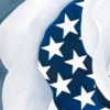 LET FREEDOM BLOOM AGAIN -BEAUTY IN THE STORM - Image 6