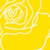 BEAUTY IN SIMPLICITY -YELLOW ROSES - Image 7