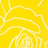 BEAUTY IN SIMPLICITY -YELLOW ROSES - Image 5