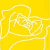BEAUTY IN SIMPLICITY -YELLOW ROSES - Image 3