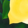 LET FREEDOM BLOOM AGAIN -YELLOW ROSE OF TEXAS - Image 10