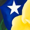 LET FREEDOM BLOOM AGAIN -YELLOW ROSE OF TEXAS - Image 6