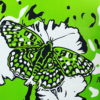 THE BUTTERFLY EFFECT- LIME