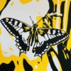 THE BUTTERFLY EFFECT - GOLDEN