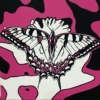 THE BUTTERFLY EFFECT-MAGENTA