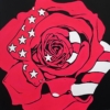 LET FREEDOM BLOOM AGAIN - LIBERTY ROSE