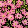 GOOD VIBES - FLOWER CHILD