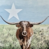 TEXAS FOREVER - LONESTAR