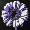 GOOD VIBES - AMETHYST